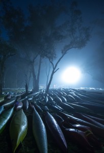 Paddlers cold misty morning. By Colin Bartley